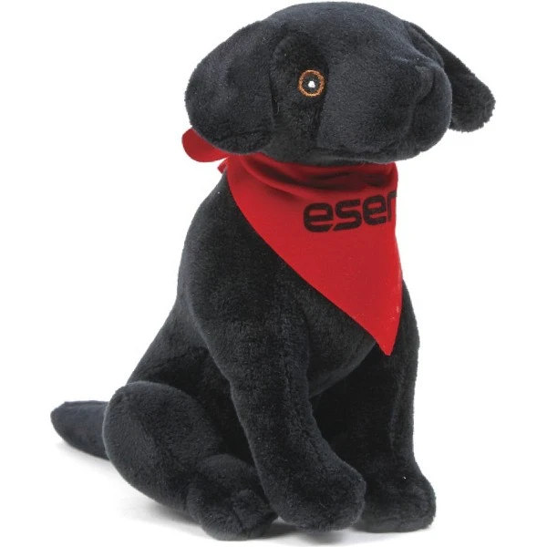 Promotional Black Lab-8