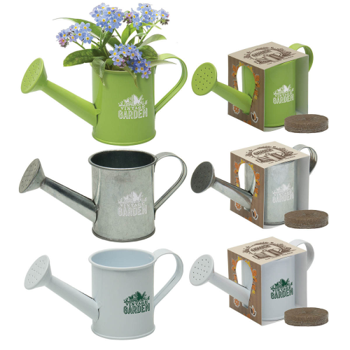 Promotional Mini Watering Can Blossom Kit