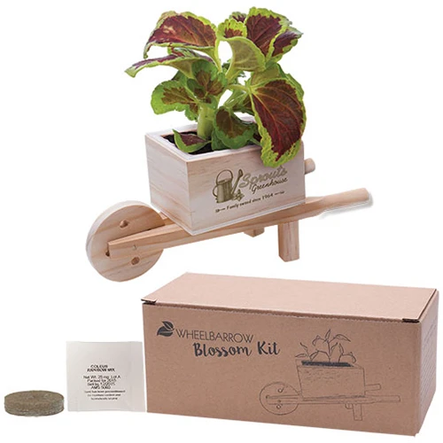 Promotional Wooden Wheel Barrow Blossom Kit