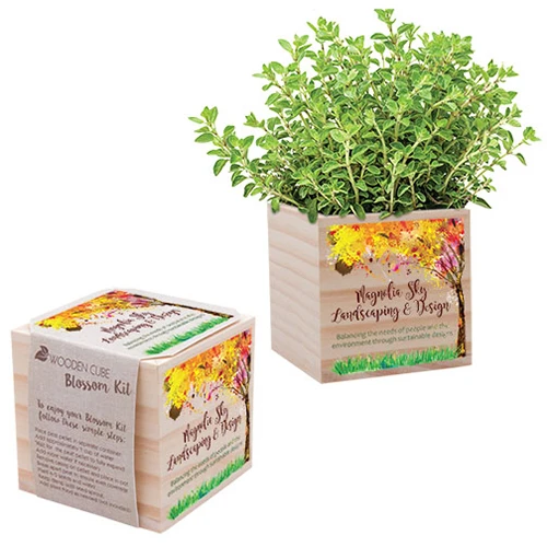 Promotional Wooden Cube Blossom Kit