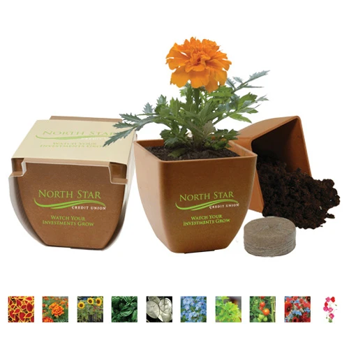 Promotional Bamboo Blossom Kit