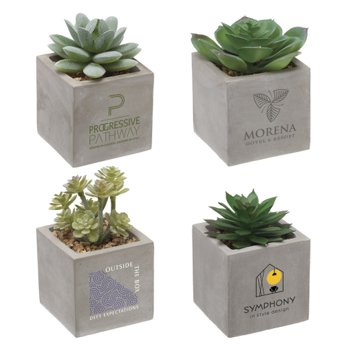 Promotional Mini Faux Potted Succulent