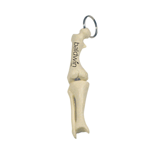 Promotional Knee Joint Bone Key Ring