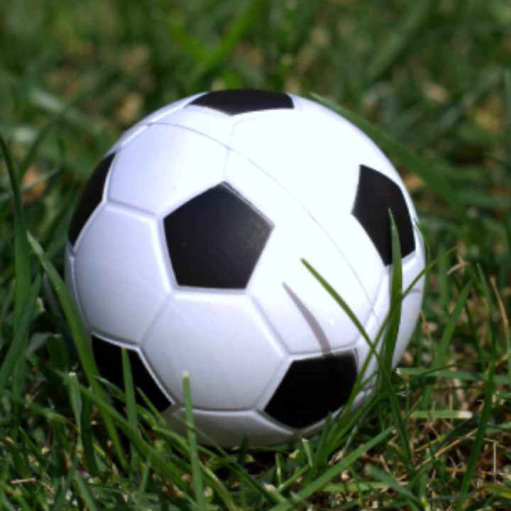 Soccer Stress Ball Soccer Stress Ball