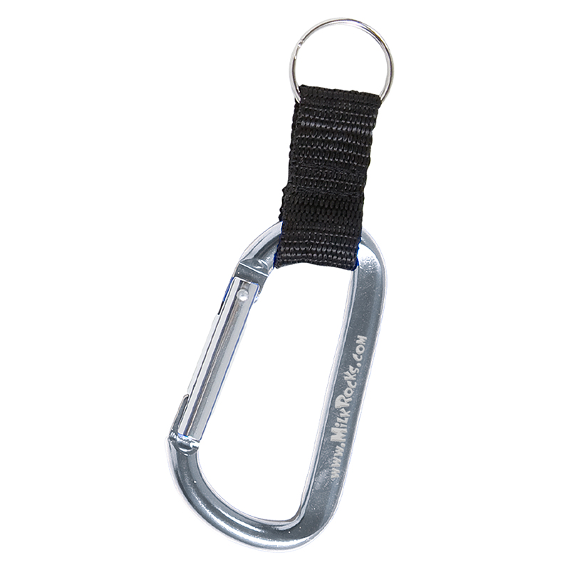 Clip and Go Carabiner Key Tag