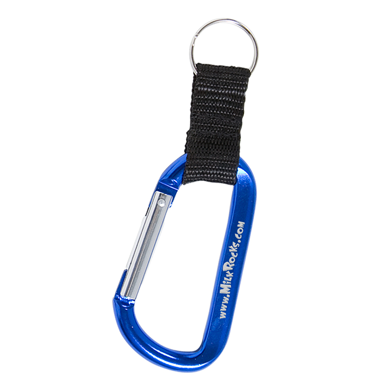 Clip and Go Carabiner Key Tag Metallic Blue