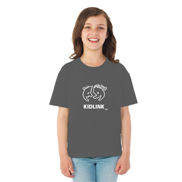 Fruit of the Loom® HD Cotton Youth T-Shirt - Colors Charcoal