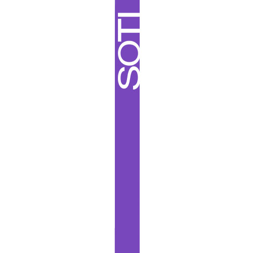 BIC® Round Custom Stic® Pen  Purple