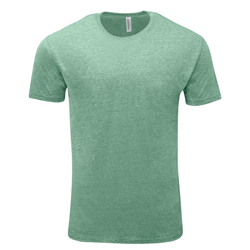 Threadfast Unisex Triblend Short-Sleeve T-Shirt Green
