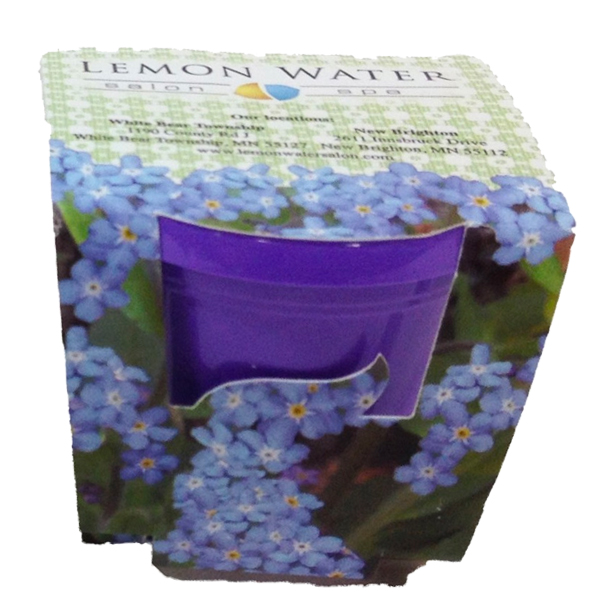 Mini Grow Kits Purple