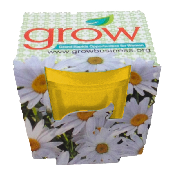 Mini Grow Kits Yellow