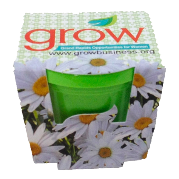 Mini Grow Kits Lime Green