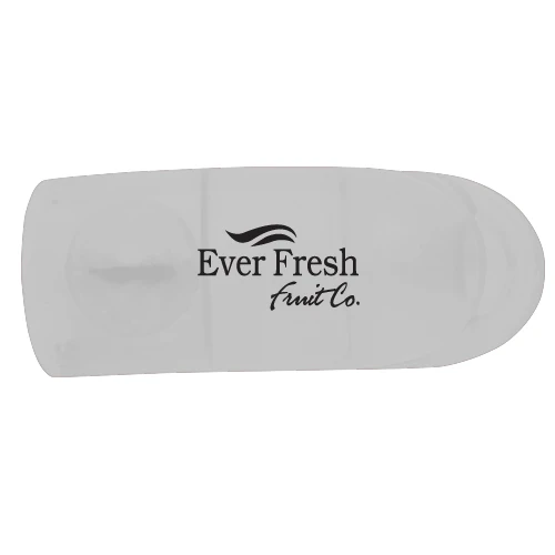 Primary Care Pill Cutter Translucent Frost