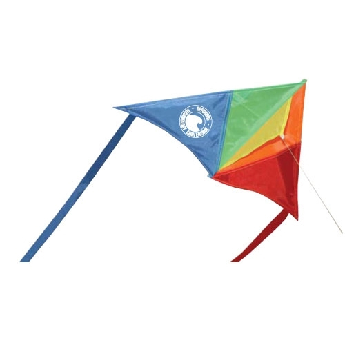 Delta Dancer Kite MultiColor