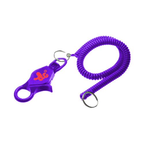 Lobster Claw Key Clip with 20
